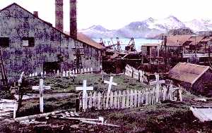 Leith 'Town' Cemetery before we started